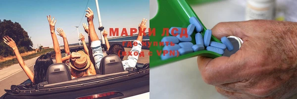 мескалин Болотное