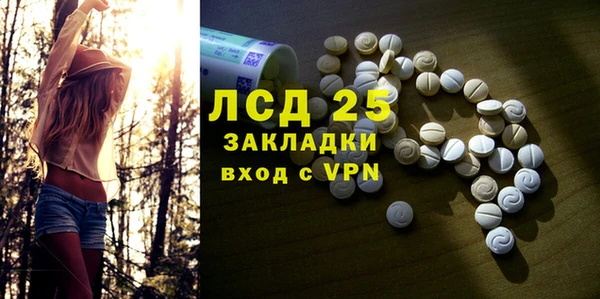 гашик Болхов