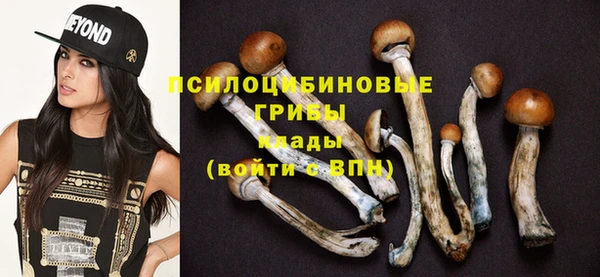 СК Болохово