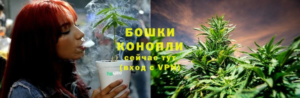 гашик Болхов