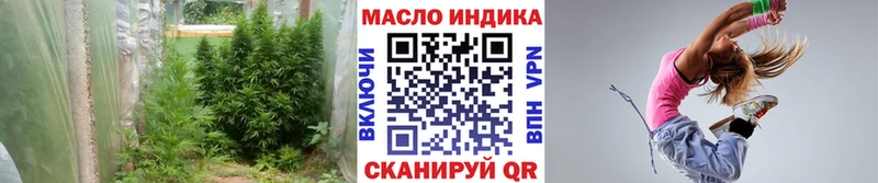 ТГК Wax  Кяхта 
