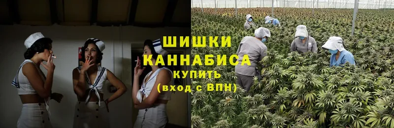 Каннабис конопля  блэк спрут   Кяхта 